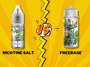 Normal Likitmi Salt Likitmi Hangisi Sizin İçin Uygun