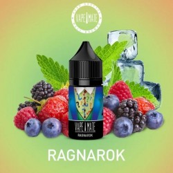 VapeMate Ragnarok
